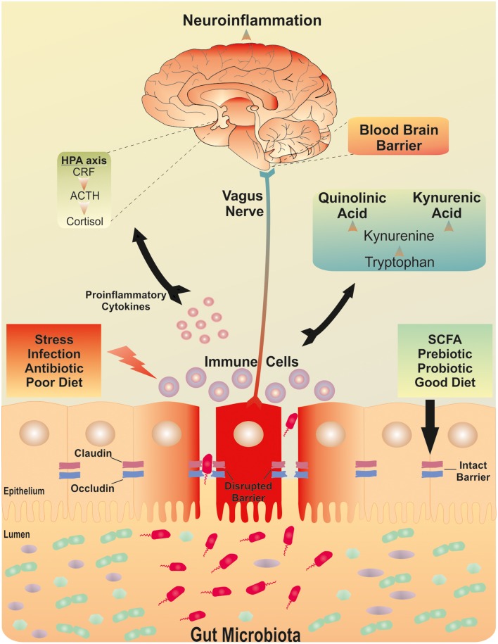 Breaking_Down_barriers